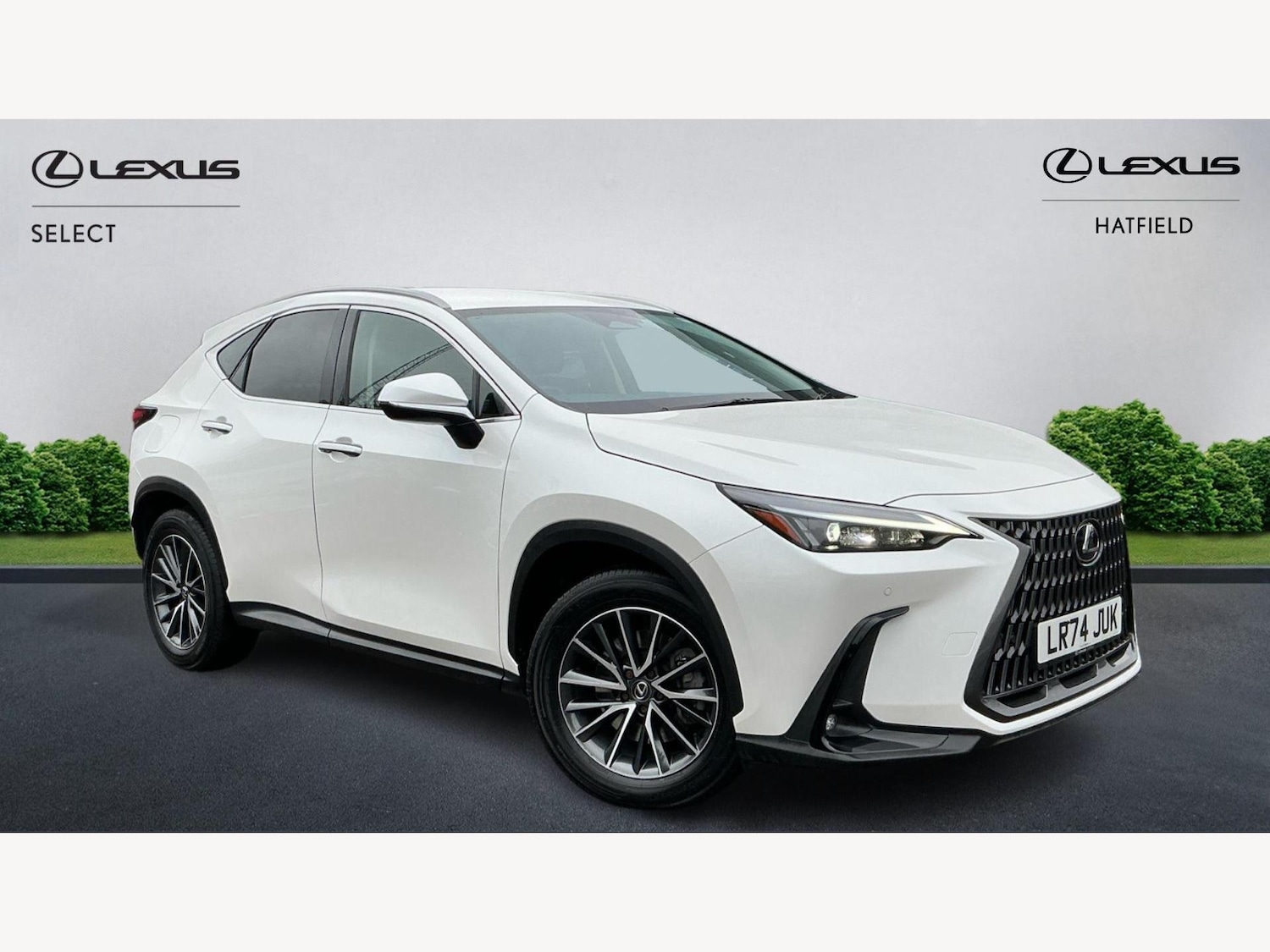 Used Lexus NX 2024 for sale - 76152473: Photo 1