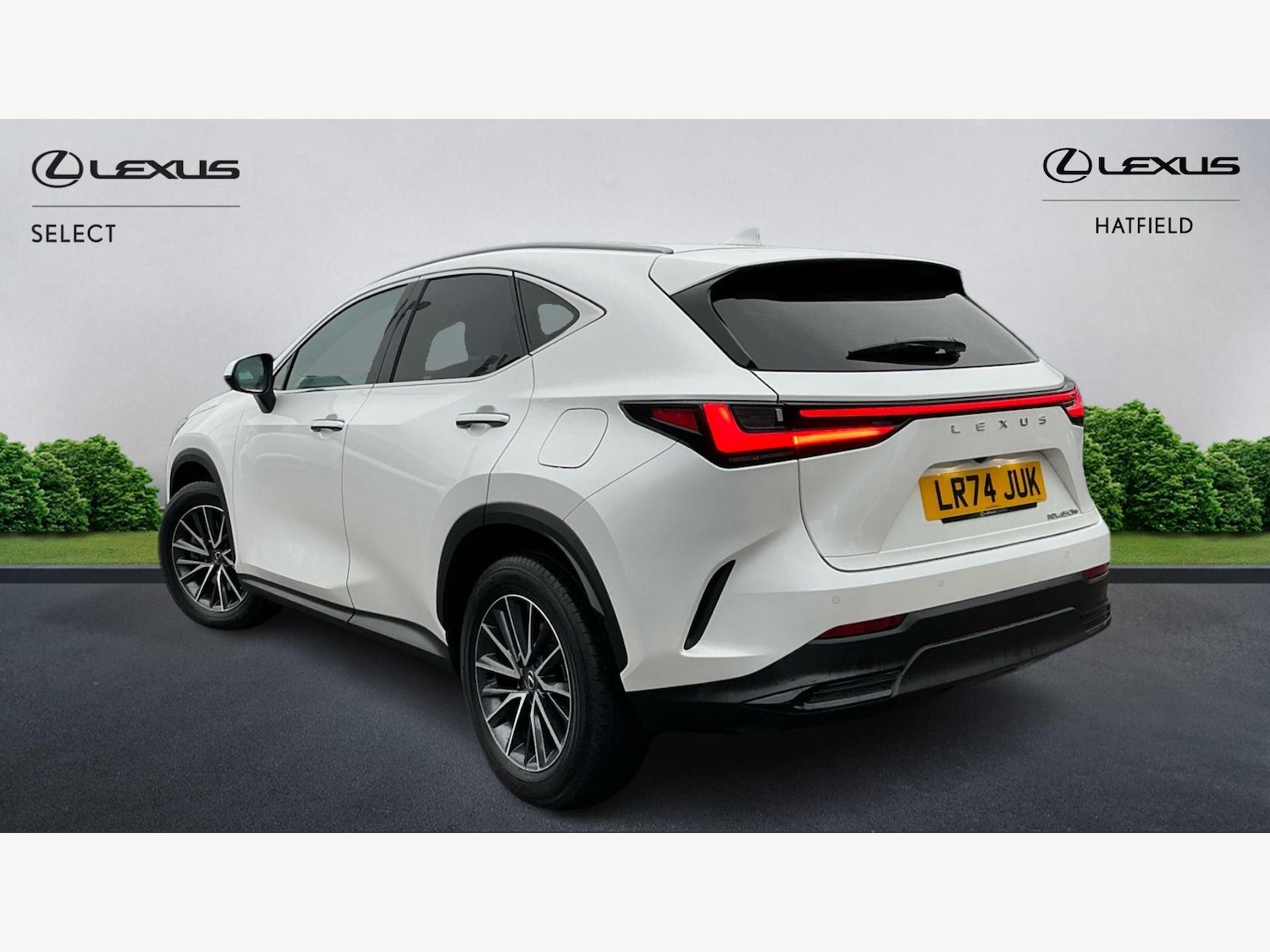Used Lexus NX 2024 for sale - 76152473: Photo 2
