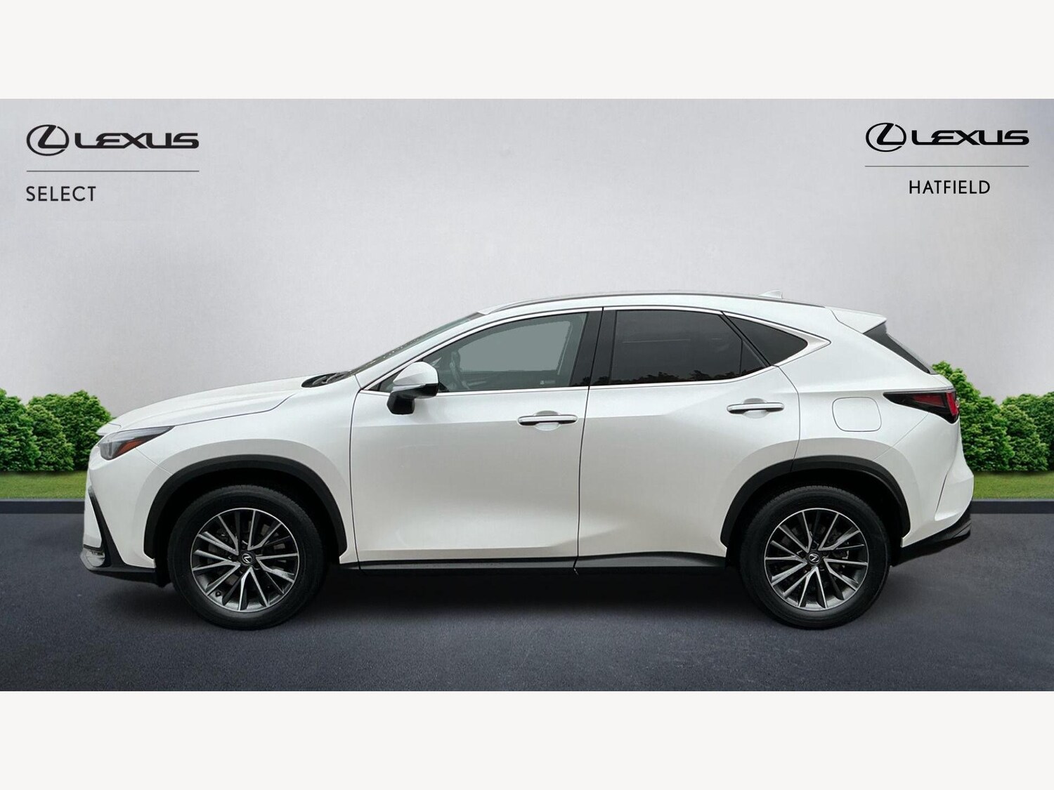 Used Lexus NX 2024 for sale - 76152473: Photo 3