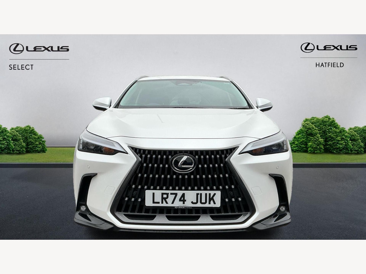 Used Lexus NX 2024 for sale - 76152473: Photo 6