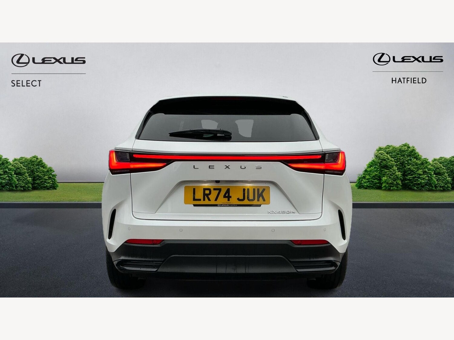 Used Lexus NX 2024 for sale - 76152473: Photo 7