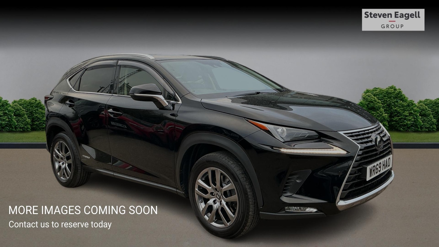 Used Lexus NX 2019 for sale - 76634183: Photo 1