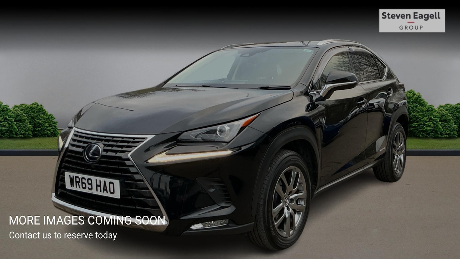Used Lexus NX 2019 for sale - 76634183: Photo 3