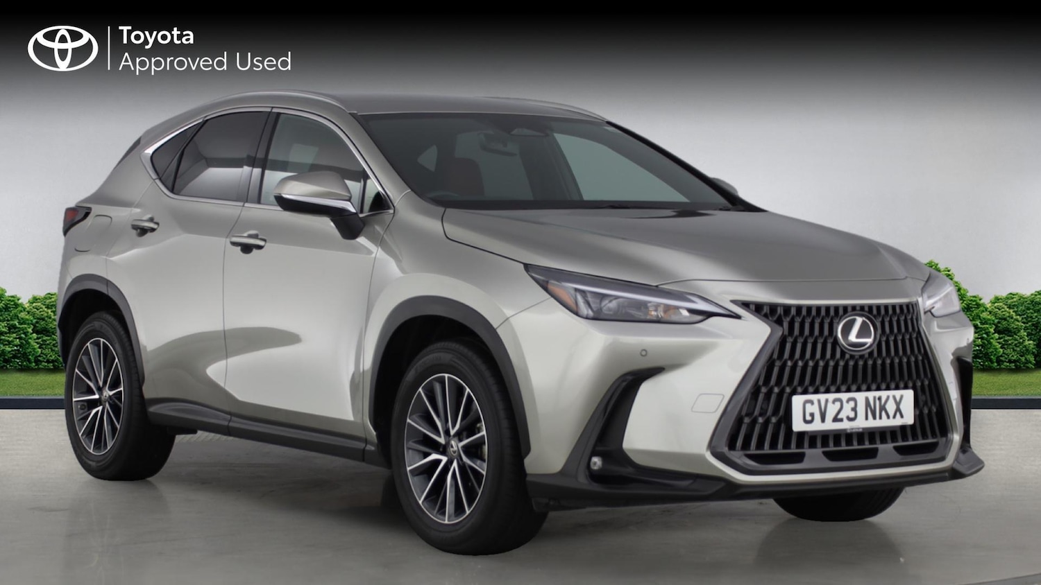 Used Lexus NX 2023 for sale - 77351809: Photo 1