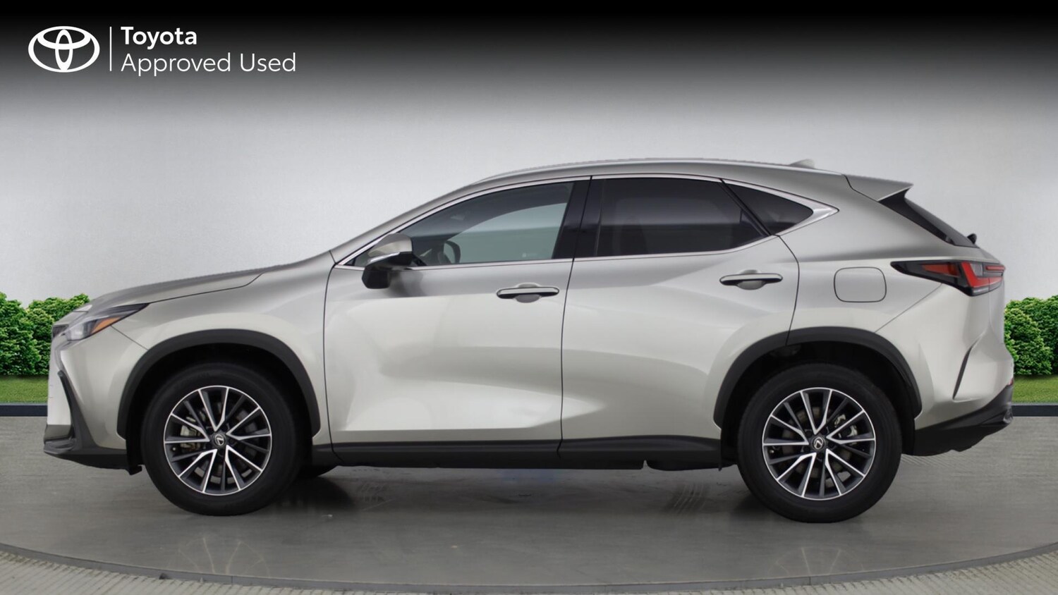 Used Lexus NX 2023 for sale - 77351809: Photo 17