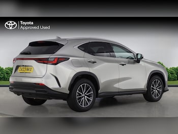 Used Lexus NX 2023 for sale - 77351809: Photo