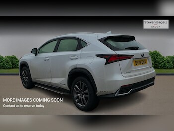 Used Lexus NX 2018 for sale - 77705648: Photo