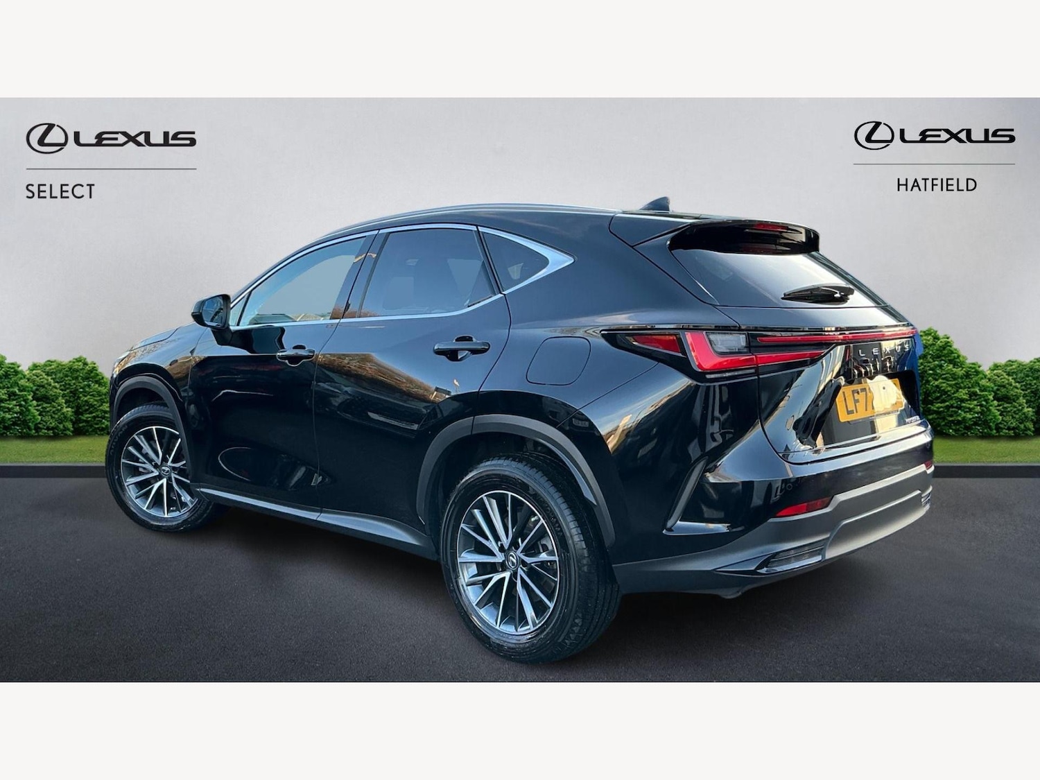 Used Lexus NX for sale - 77497168: Photo 2