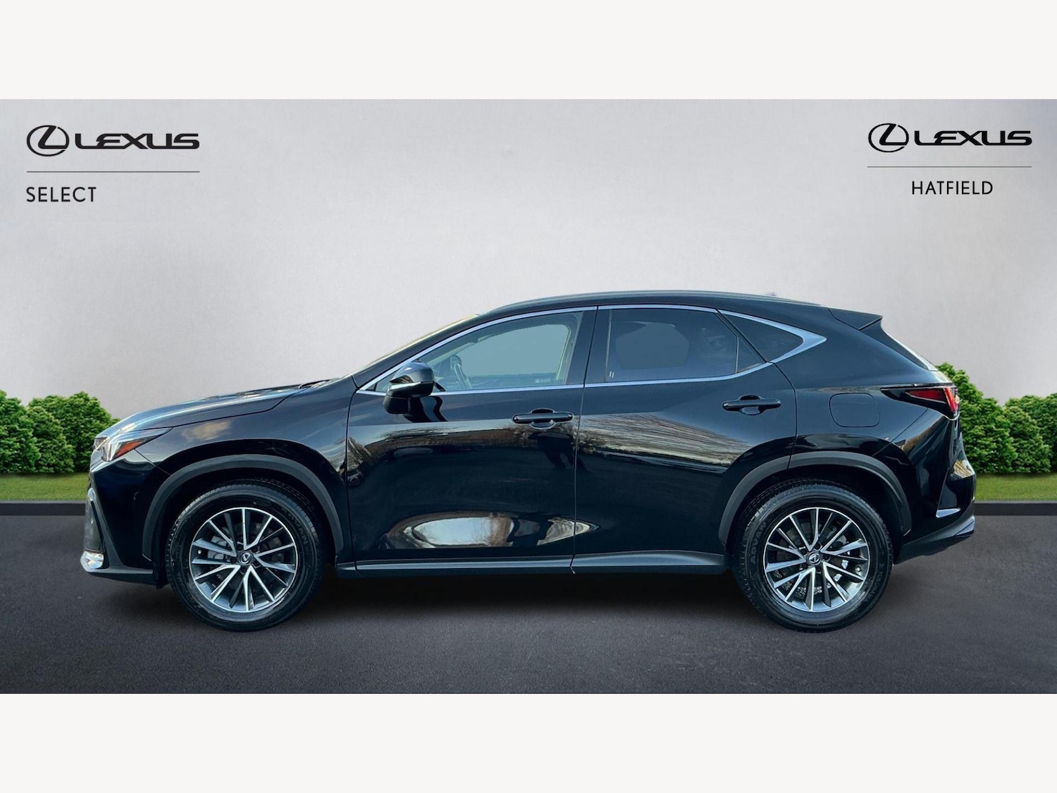 Used Lexus NX for sale - 77497168: Photo 3