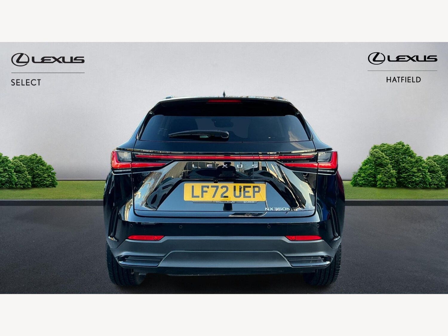 Used Lexus NX for sale - 77497168: Photo 7