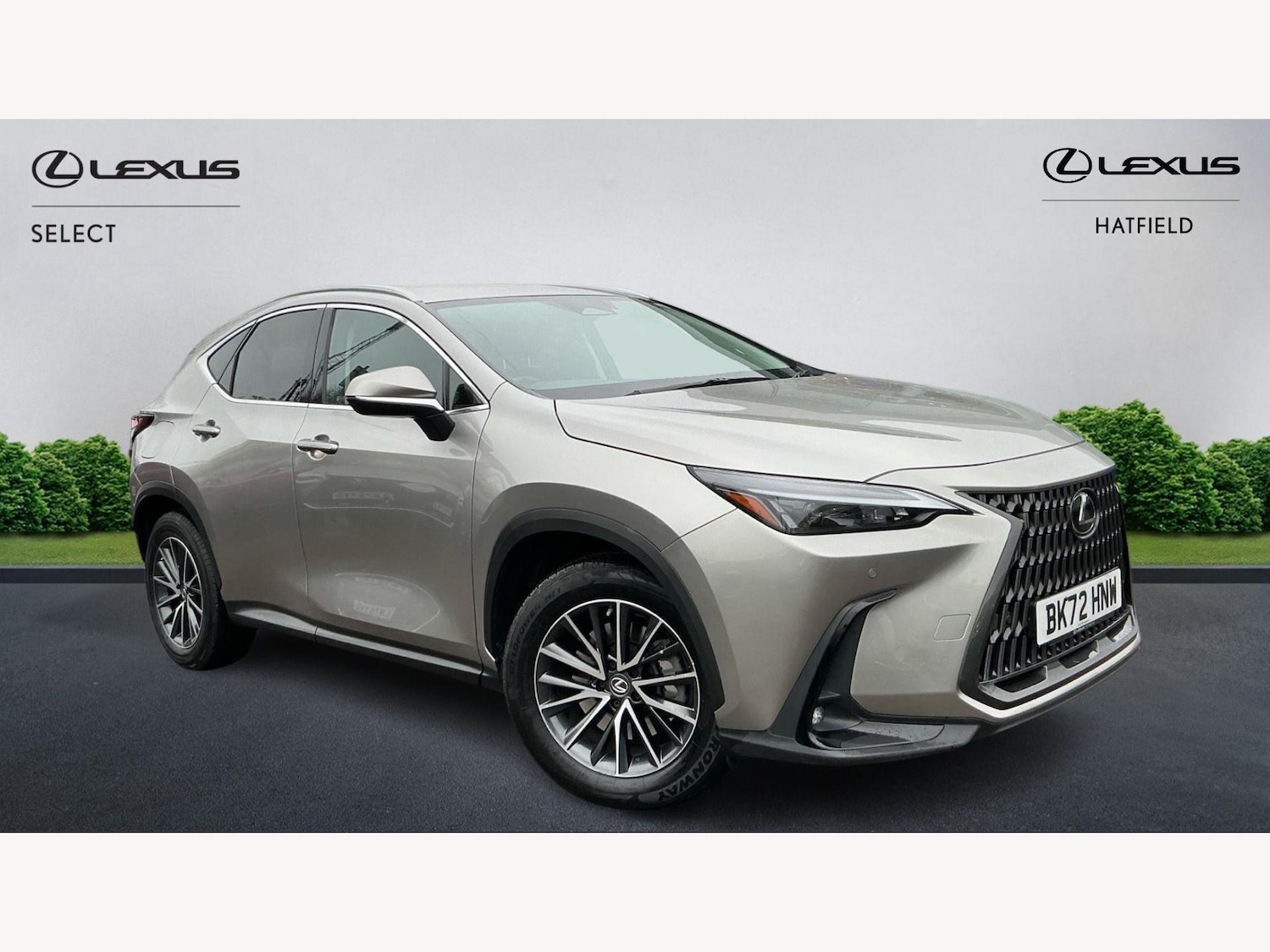 Used Lexus NX 2022 for sale - 77120431: Photo 1