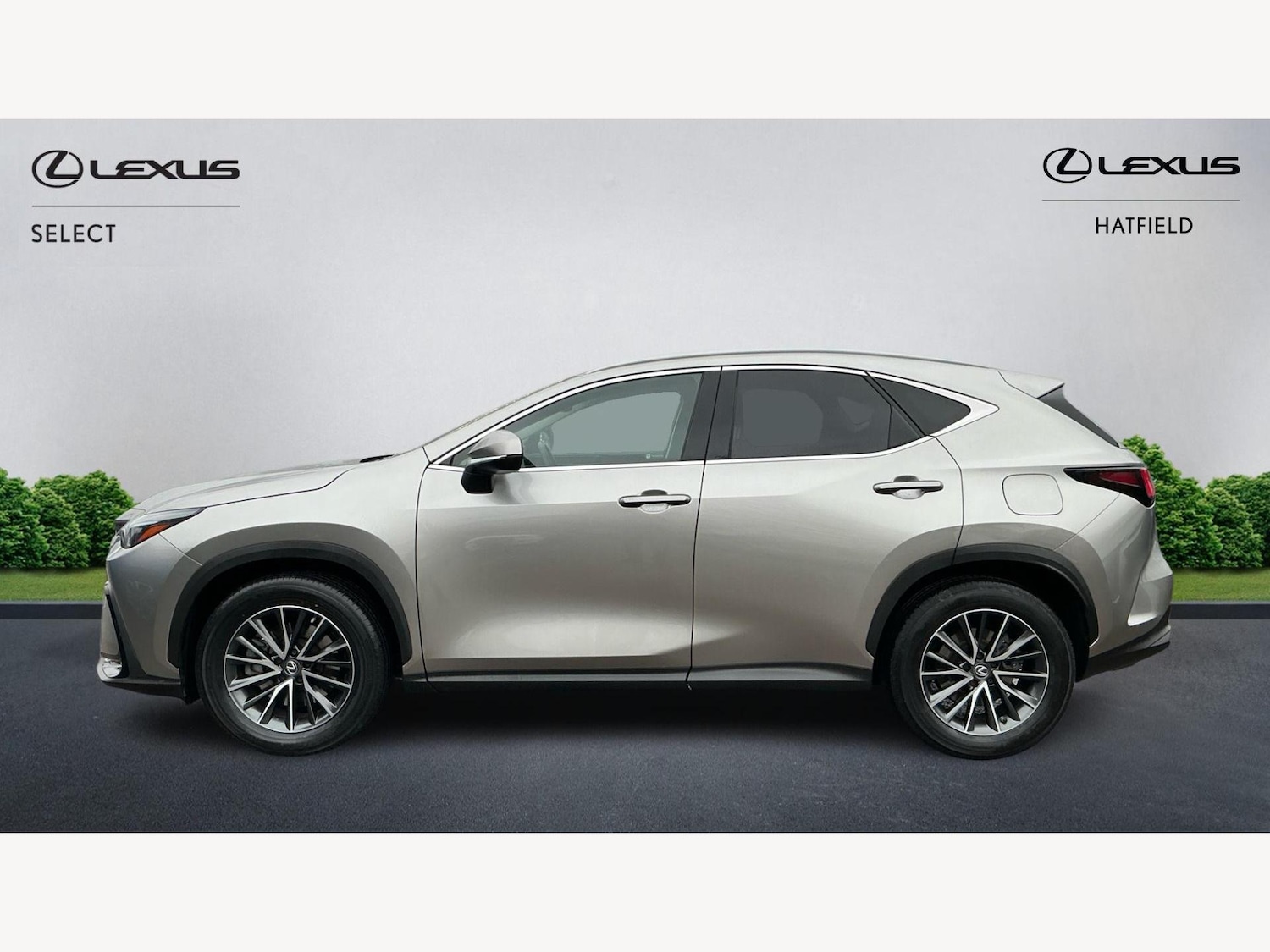 Used Lexus NX 2022 for sale - 77120431: Photo 3