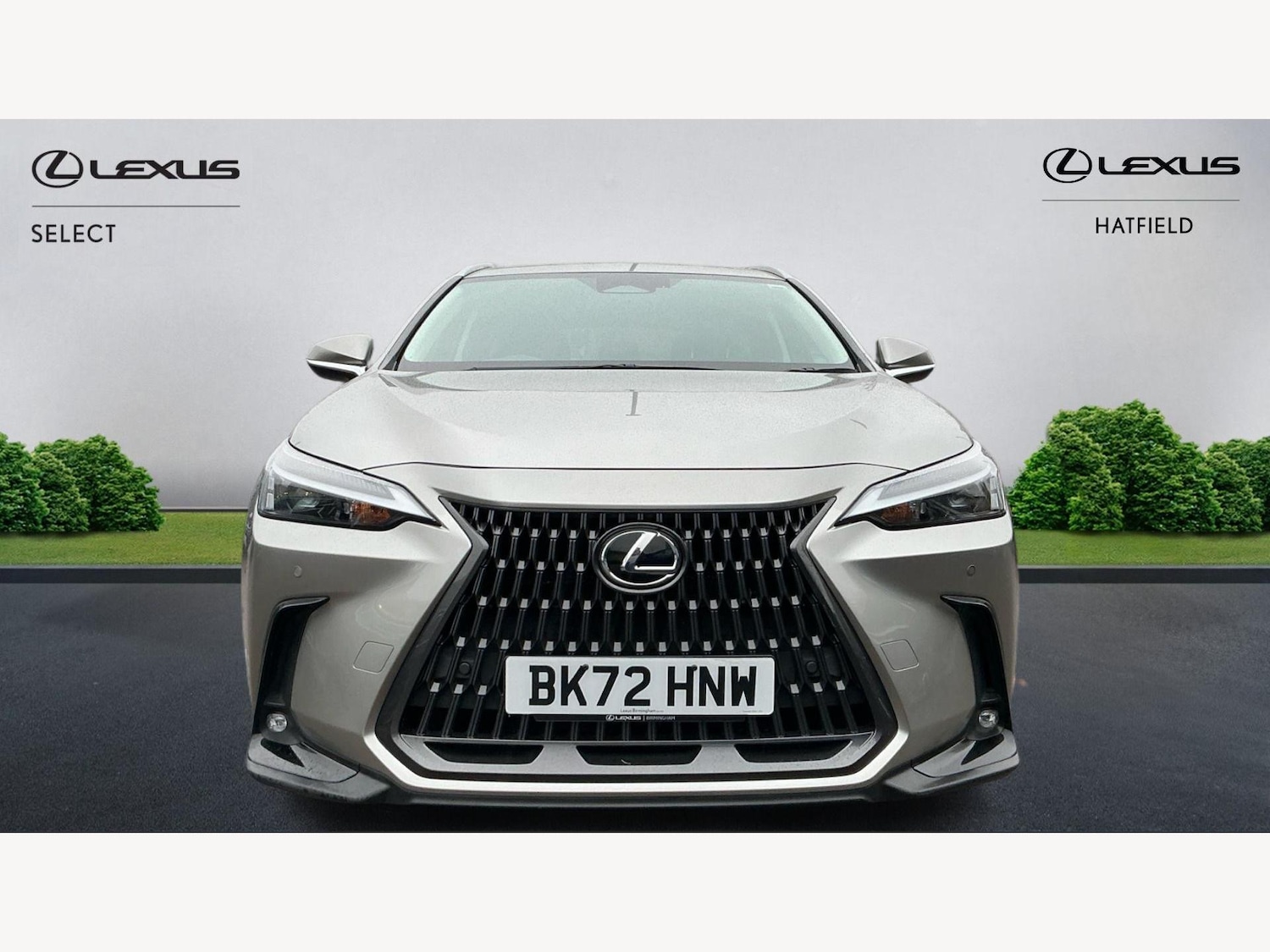 Used Lexus NX 2022 for sale - 77120431: Photo 6
