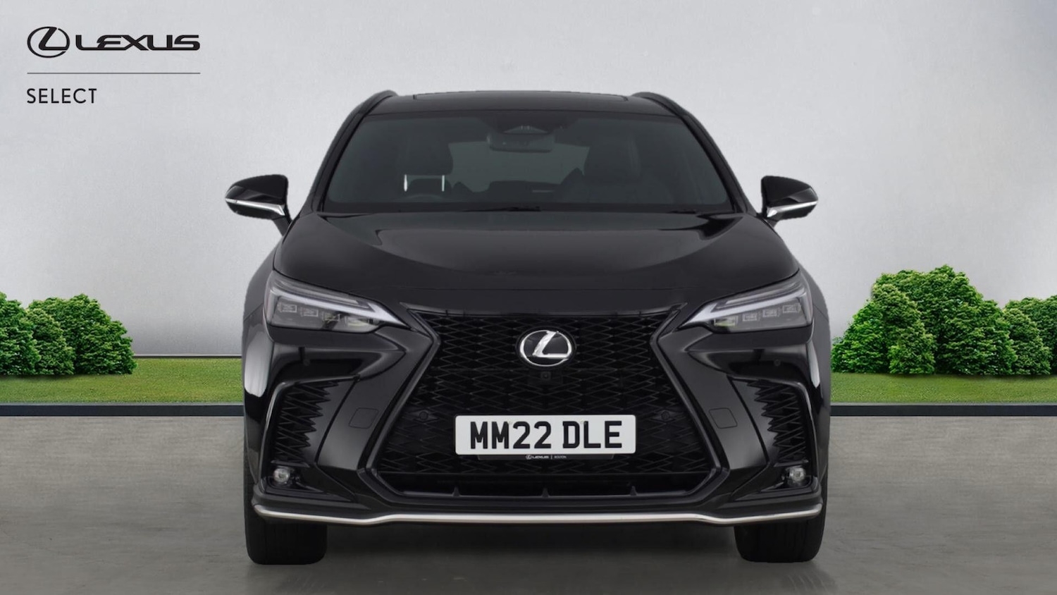 Used Lexus NX 2022 for sale - 77163401: Photo 2