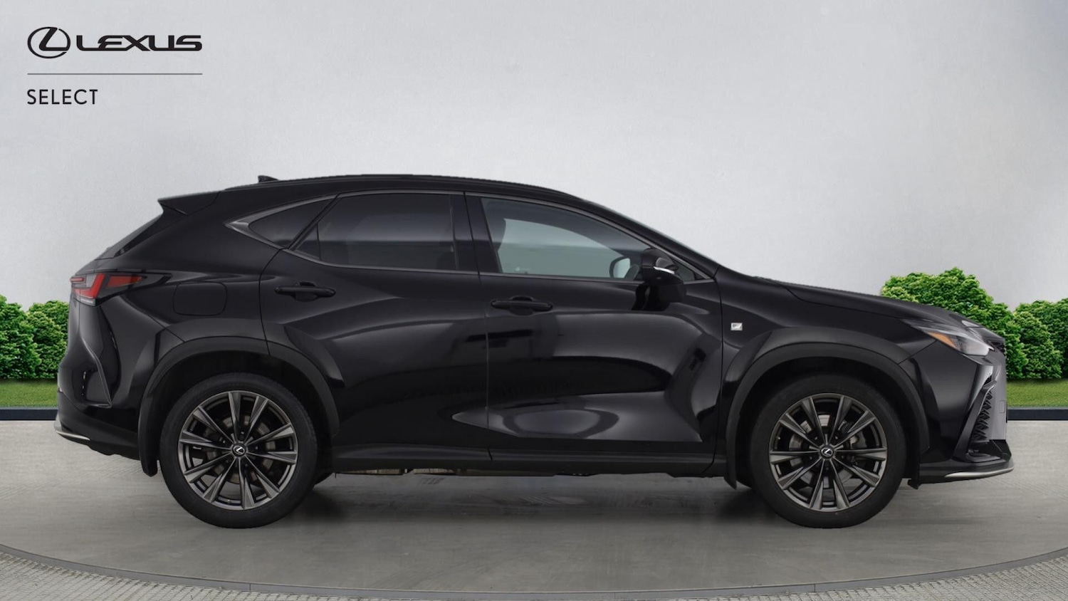 Used Lexus NX 2022 for sale - 77163401: Photo 8