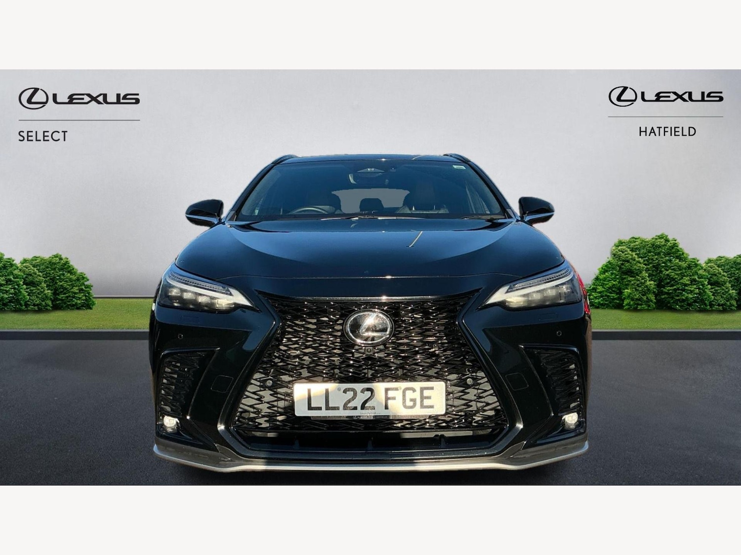 Used Lexus NX 2022 for sale - 76765603: Photo 6