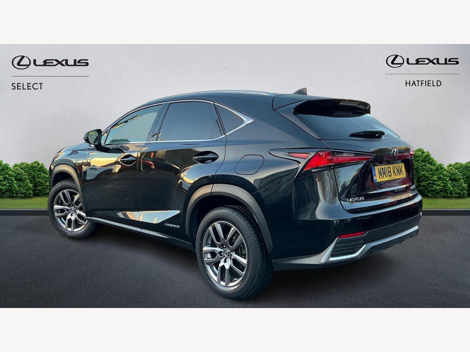 Used Lexus NX 2018 for sale - 76771973: Photo 2