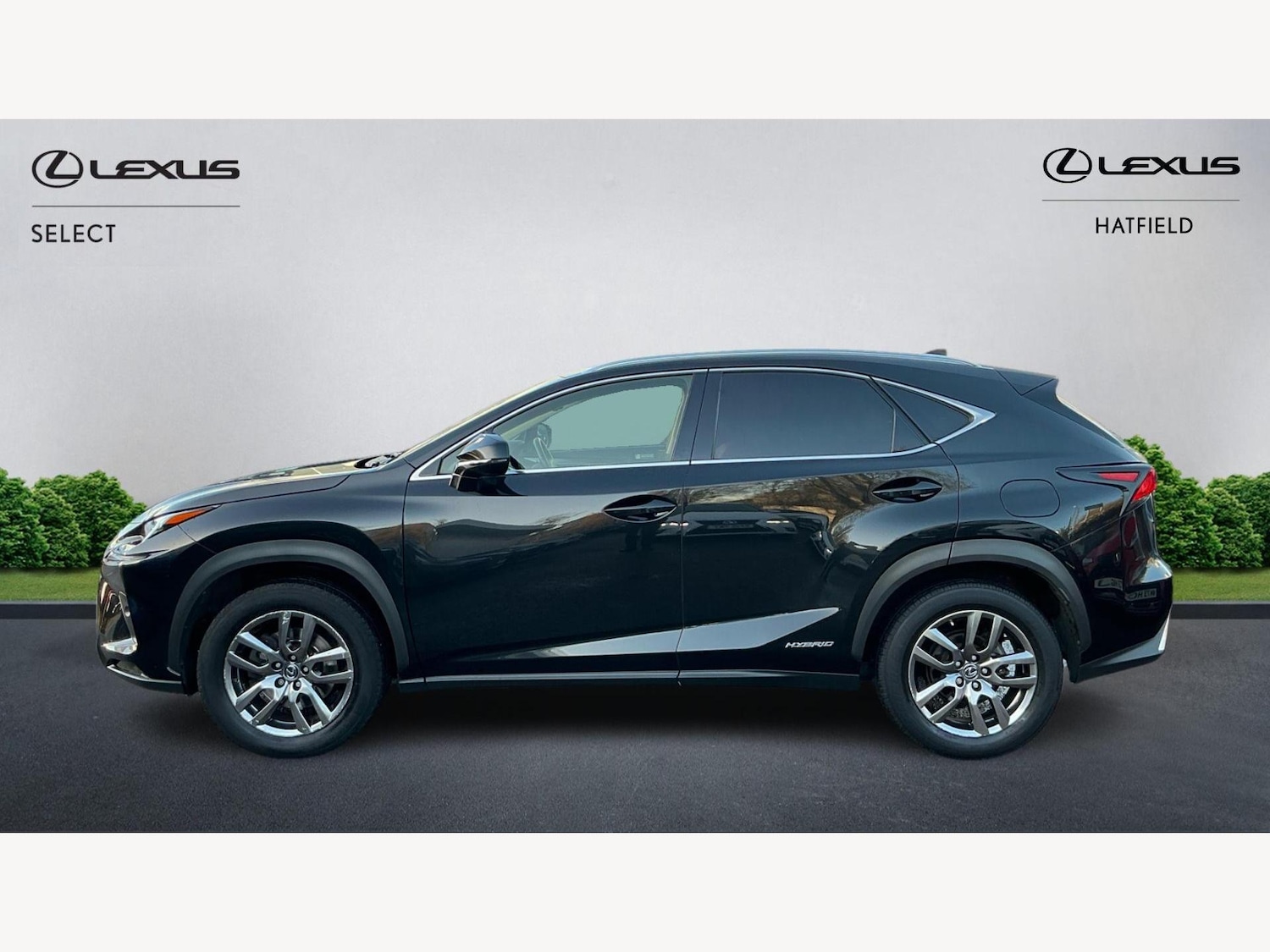 Used Lexus NX 2018 for sale - 76771973: Photo 3
