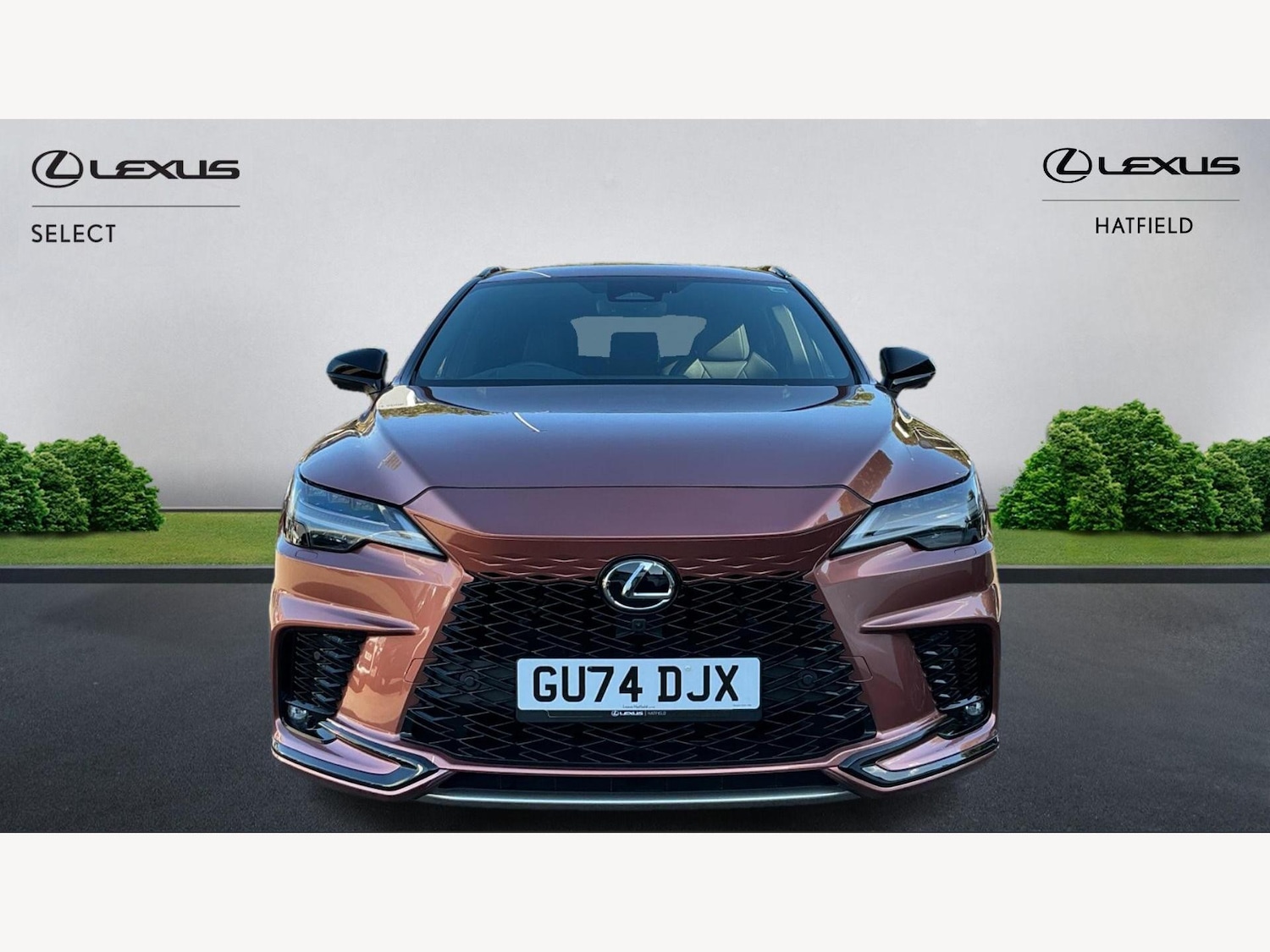 Used Lexus RX 2024 for sale - 75757215: Photo 6