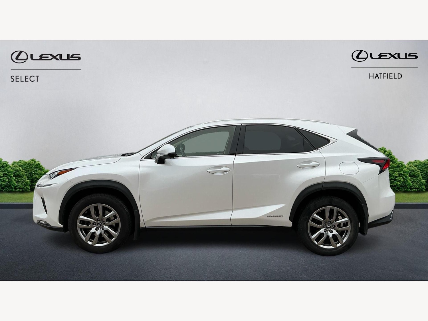 Used Lexus NX 2019 for sale - 76781371: Photo 3