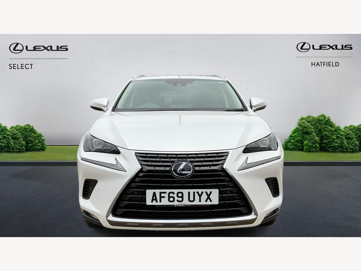 Used Lexus NX 2019 for sale - 76781371: Photo 6