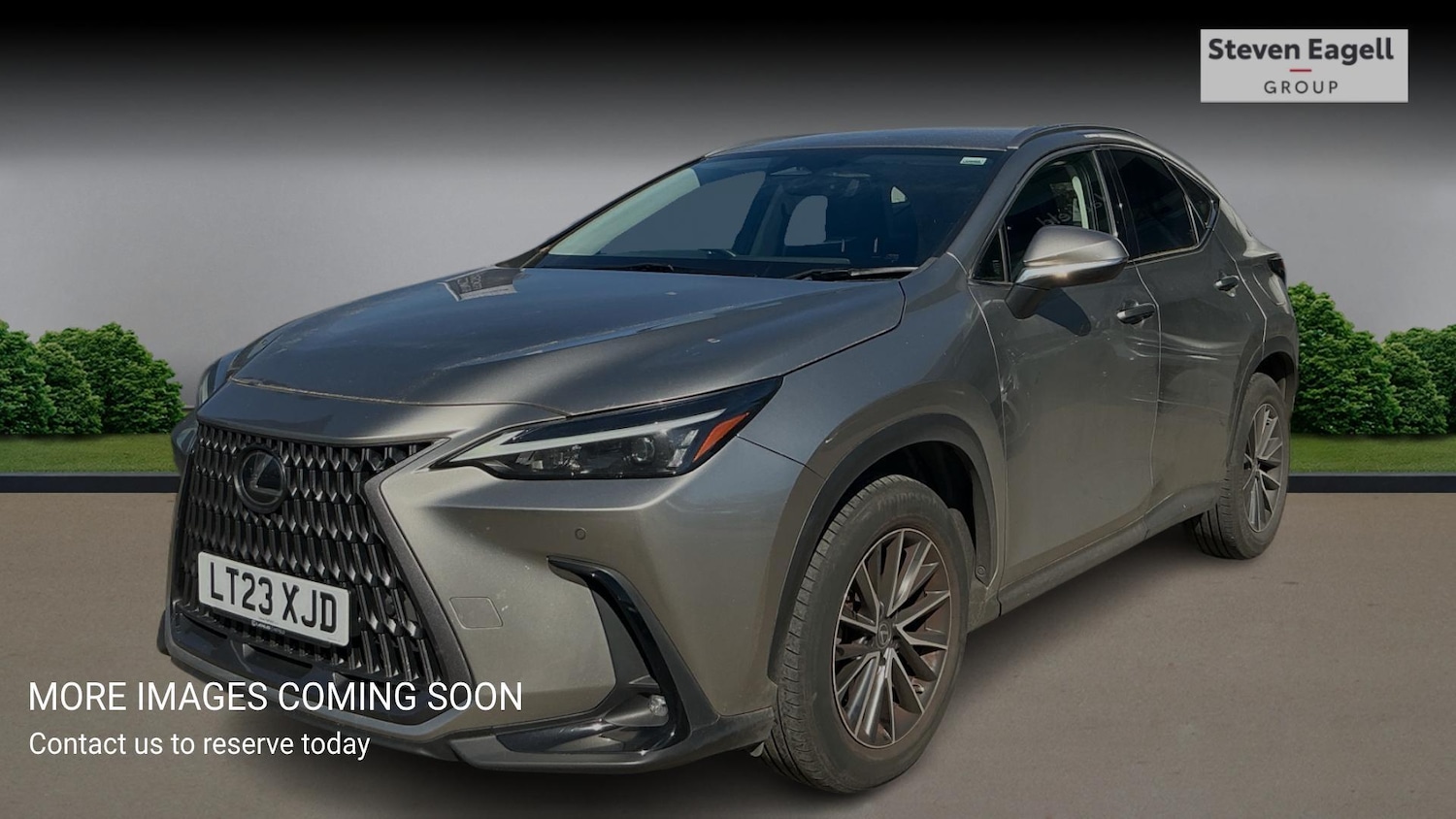 Used Lexus NX 2023 for sale - 78019740: Photo 3