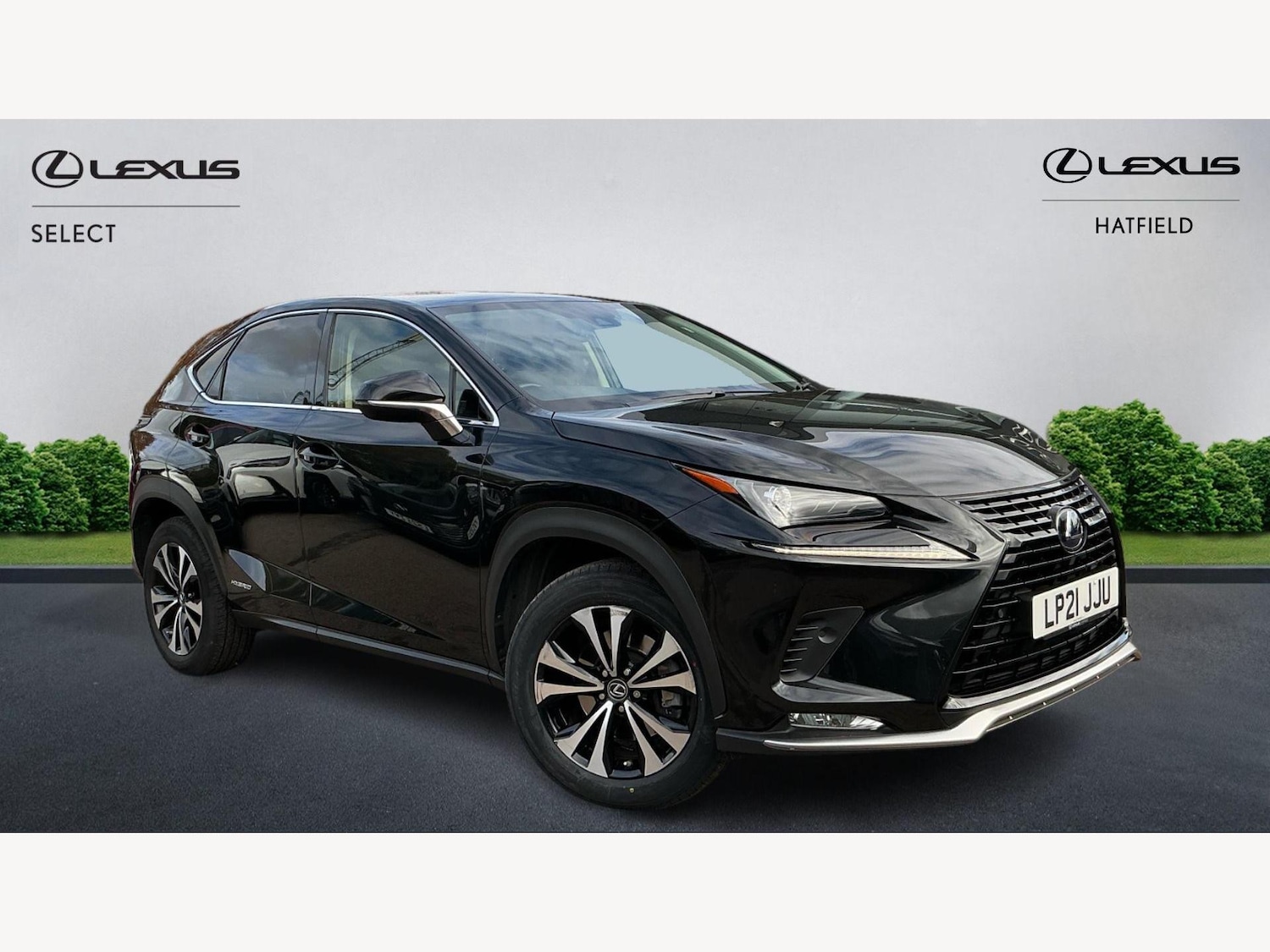 Used Lexus NX 2021 for sale - 76327003: Photo 1