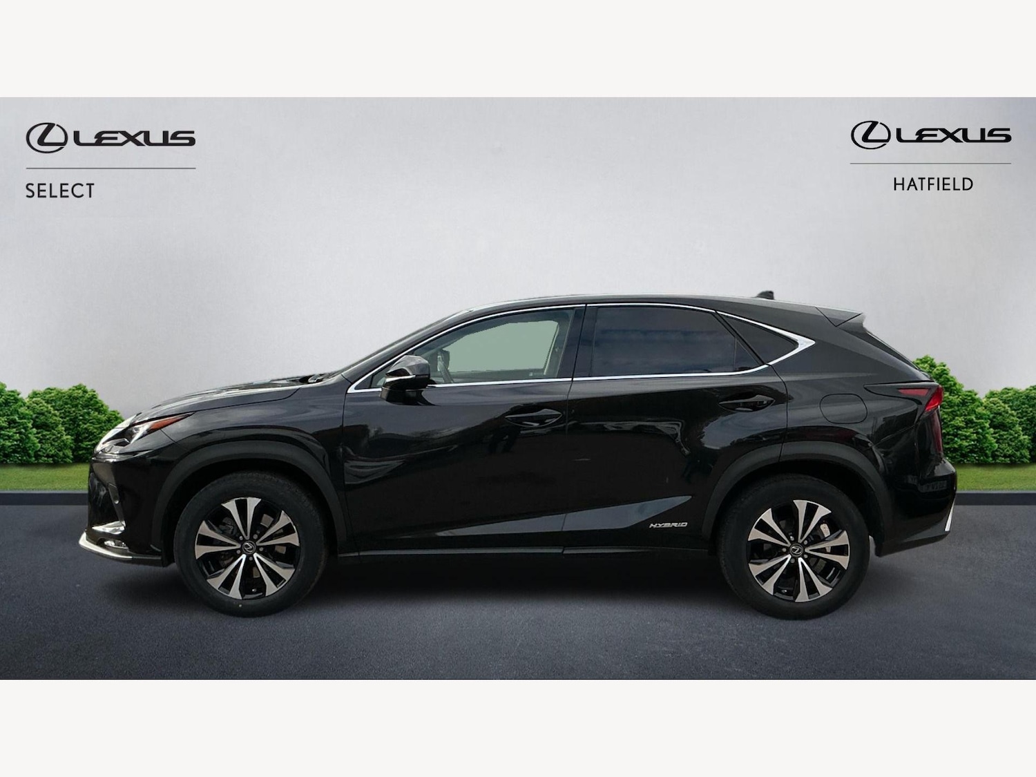 Used Lexus NX 2021 for sale - 76327003: Photo 3