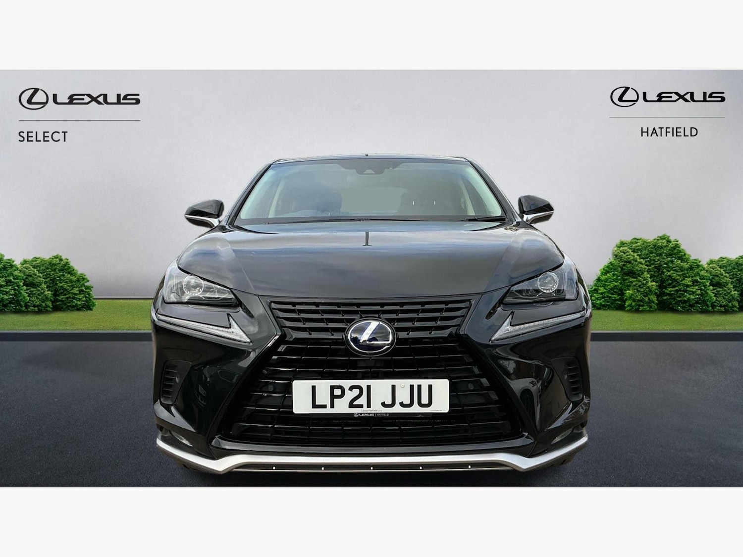 Used Lexus NX 2021 for sale - 76327003: Photo 6
