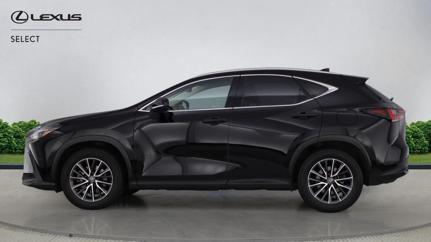 Used Lexus NX 2022 for sale - 77163399: Photo 6