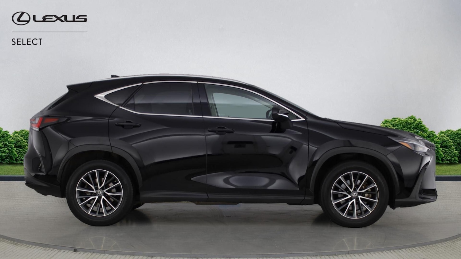 Used Lexus NX 2022 for sale - 77163399: Photo 8