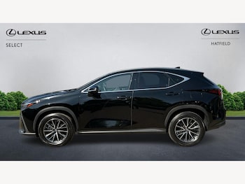 Used Lexus NX 2023 for sale - 75507468: Photo