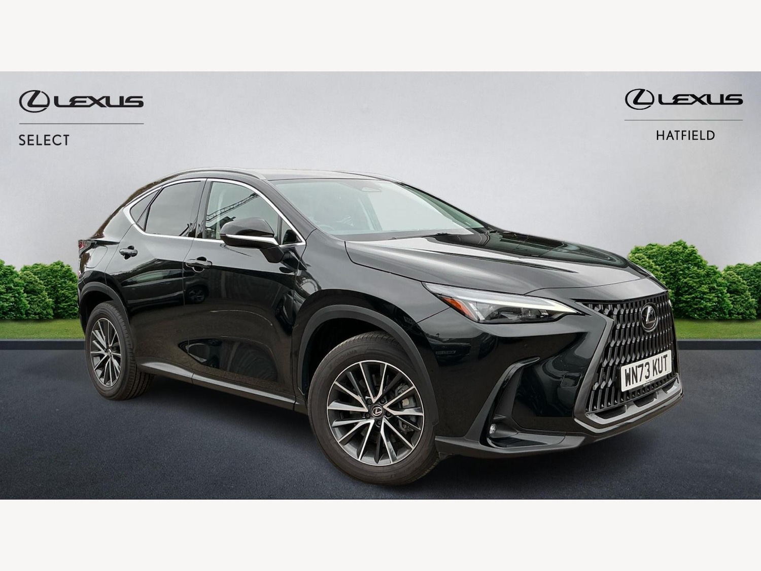 Used Lexus NX 2023 for sale - 76214975: Photo 1