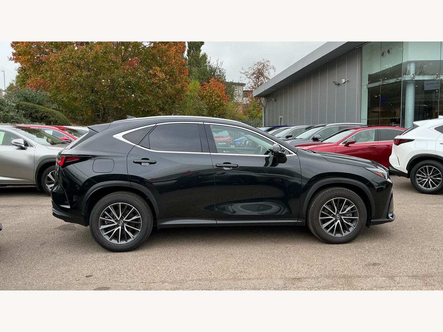 Used Lexus NX 2023 for sale - 76214975: Photo 18
