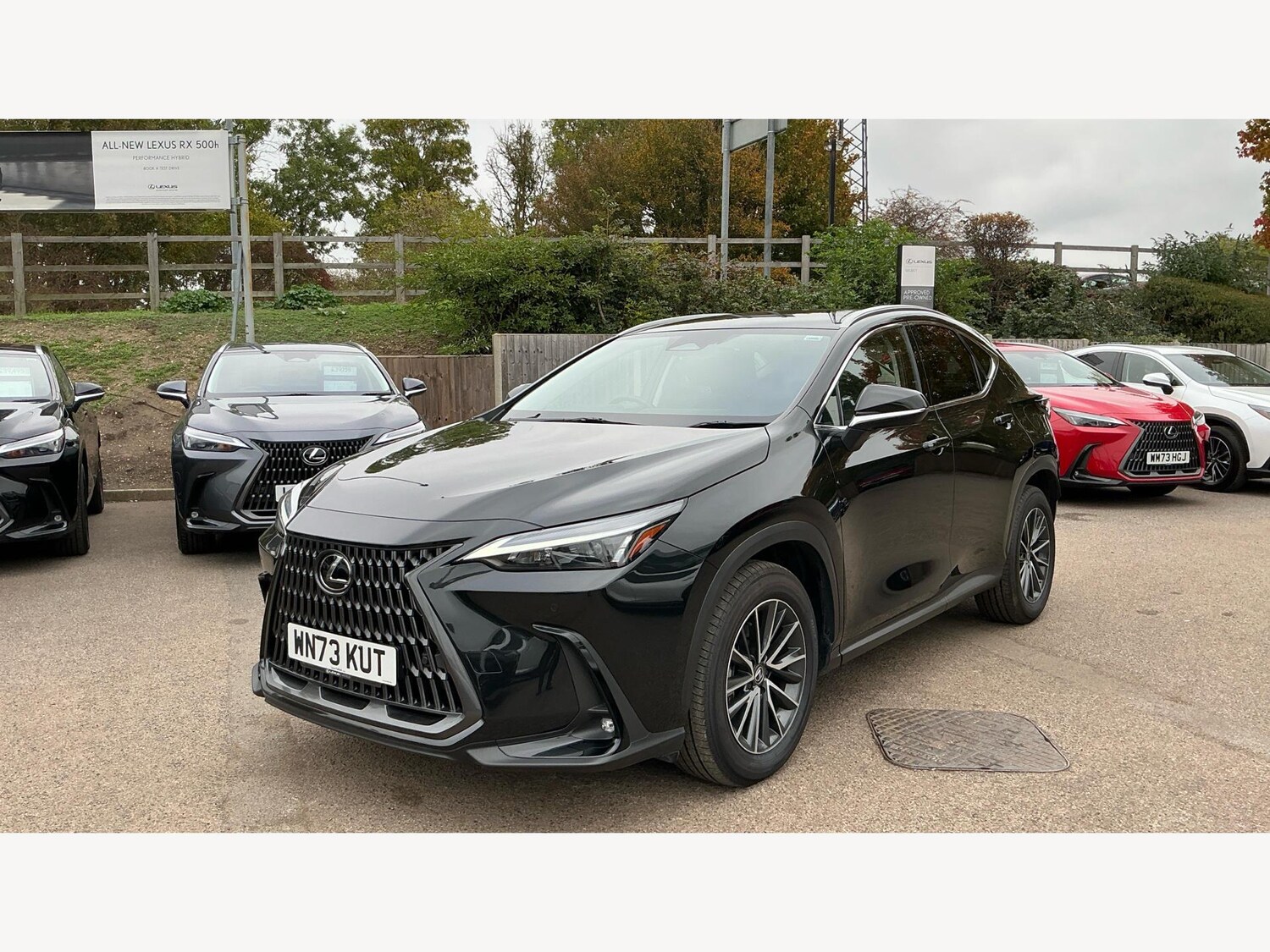 Used Lexus NX 2023 for sale - 76214975: Photo 19