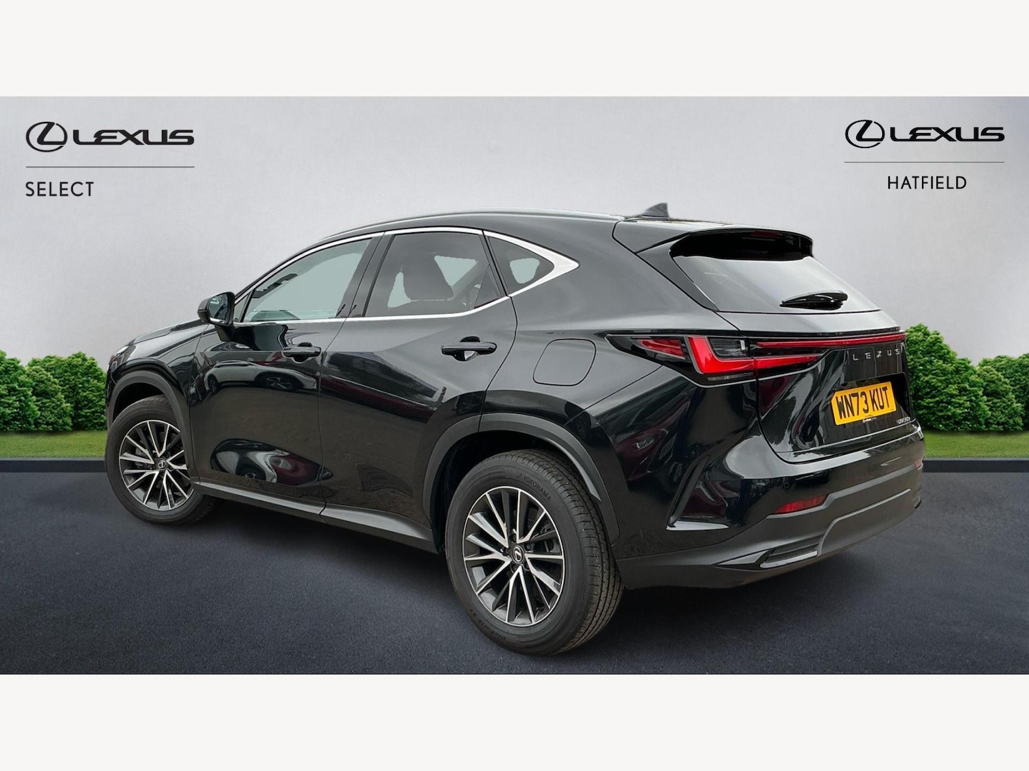 Used Lexus NX 2023 for sale - 76214975: Photo 2
