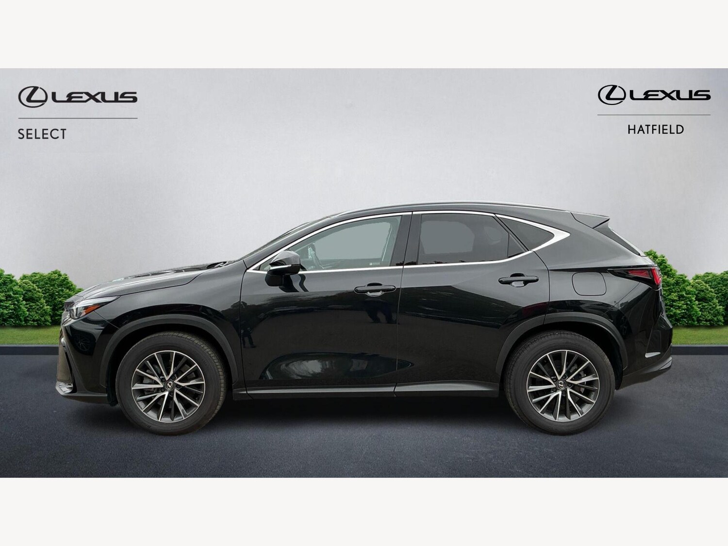 Used Lexus NX 2023 for sale - 76214975: Photo 3