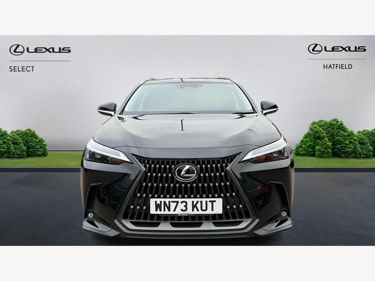 Used Lexus NX 2023 for sale - 76214975: Photo 6