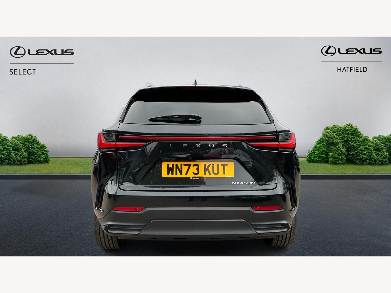 Used Lexus NX 2023 for sale - 76214975: Photo 7