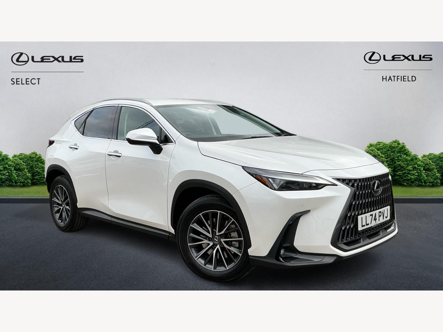 Used Lexus NX 2024 for sale - 76200790: Photo 1