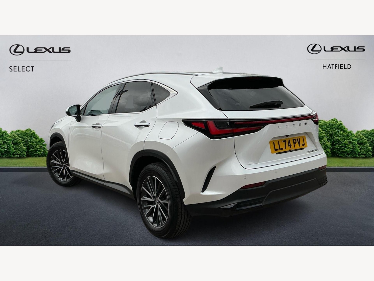 Used Lexus NX 2024 for sale - 76200790: Photo 2
