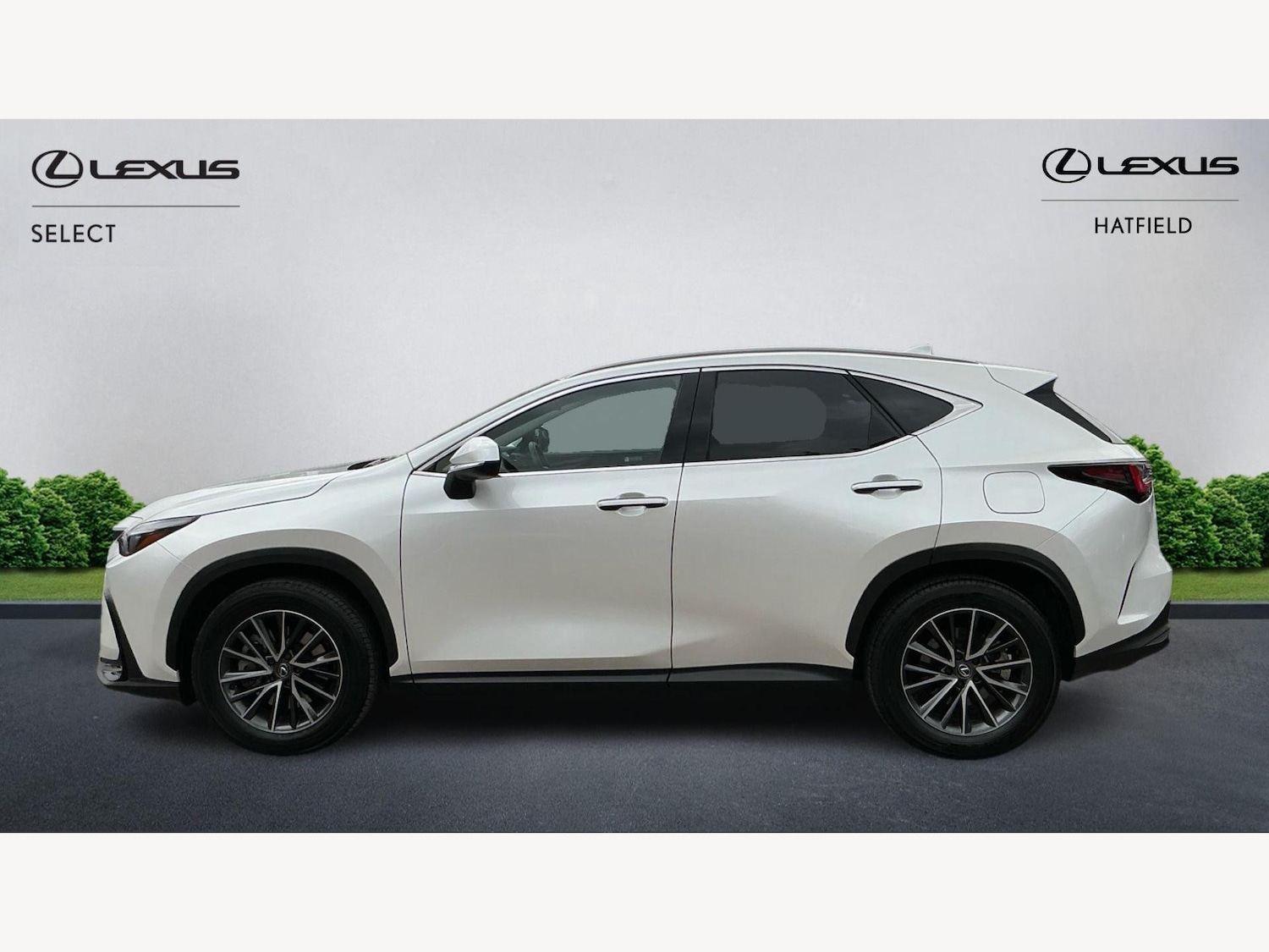 Used Lexus NX 2024 for sale - 76200790: Photo 3