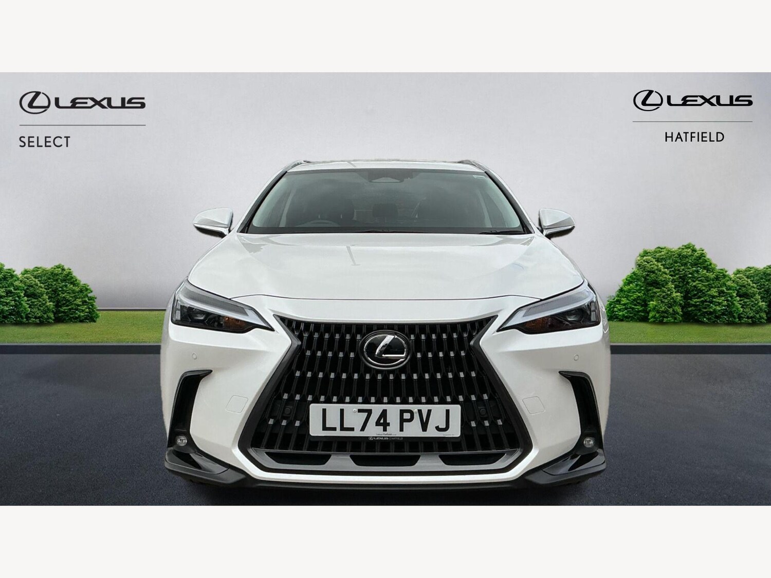 Used Lexus NX 2024 for sale - 76200790: Photo 6