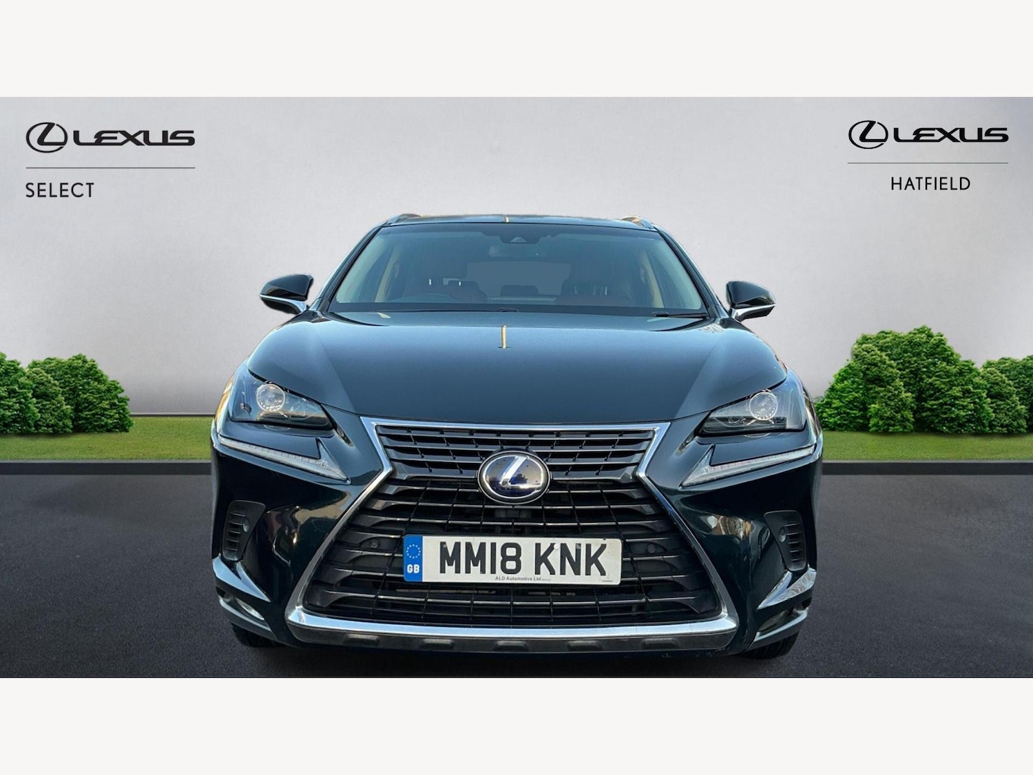 Used Lexus NX 2018 for sale - 76855990: Photo 6