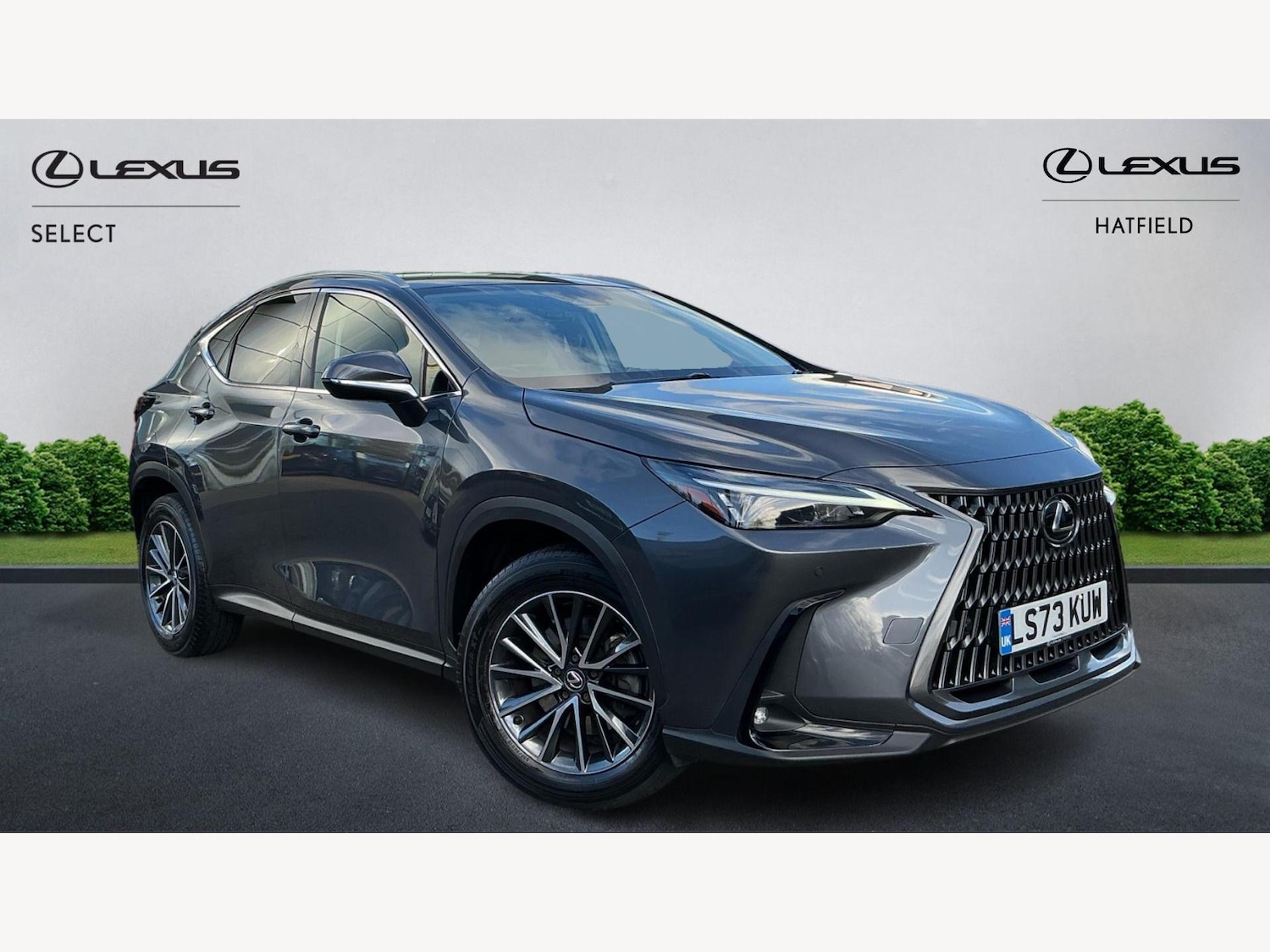 Used Lexus NX for sale - 76440640: Photo 1