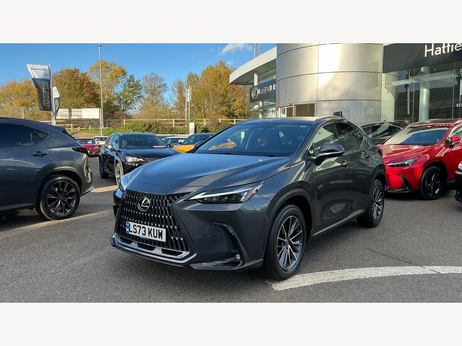 Used Lexus NX for sale - 76440640: Photo 19