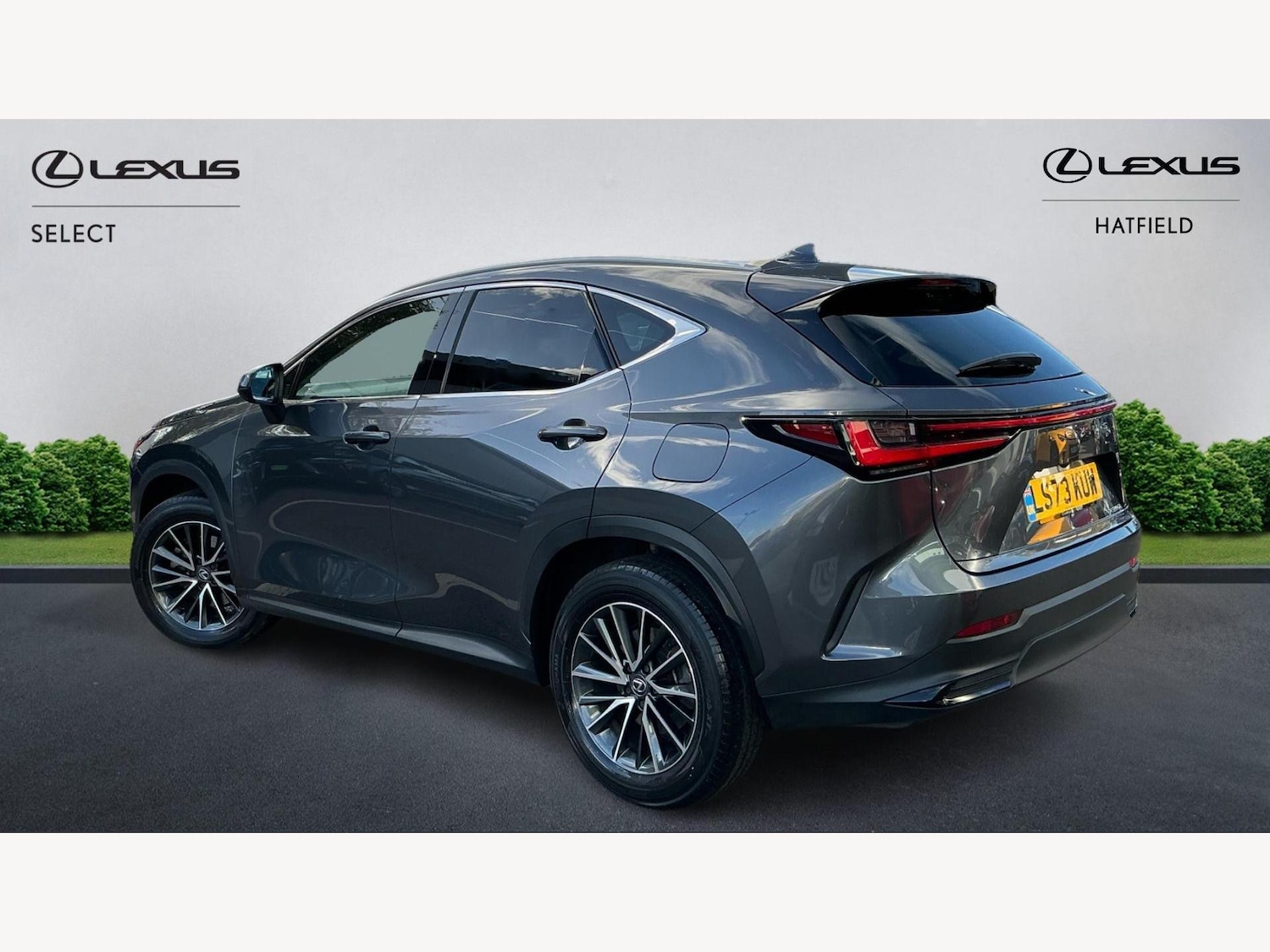 Used Lexus NX for sale - 76440640: Photo 2