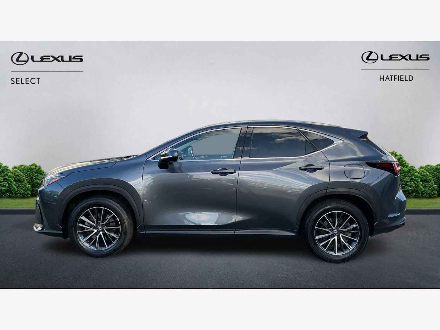 Used Lexus NX for sale - 76440640: Photo 3