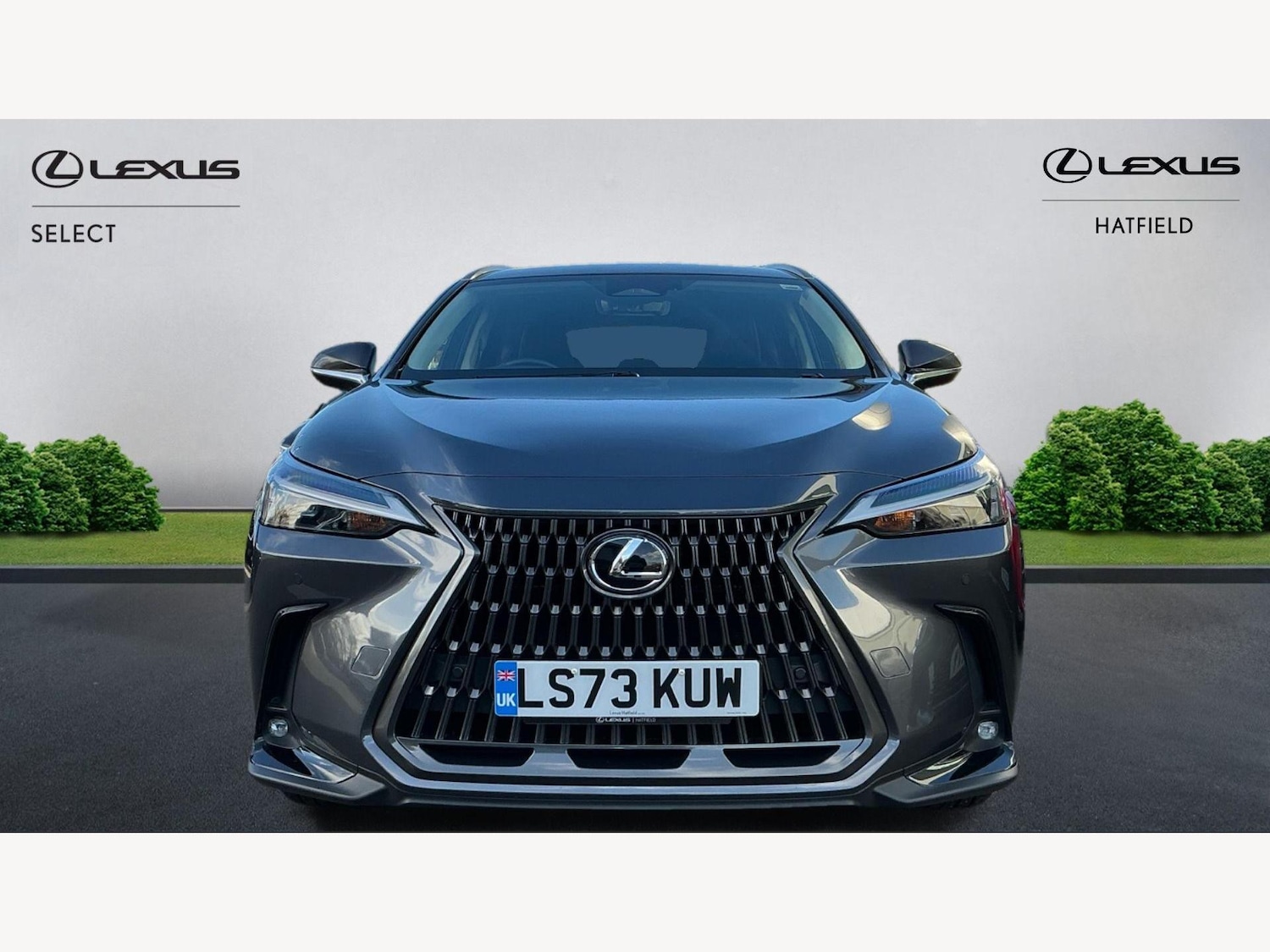 Used Lexus NX for sale - 76440640: Photo 6