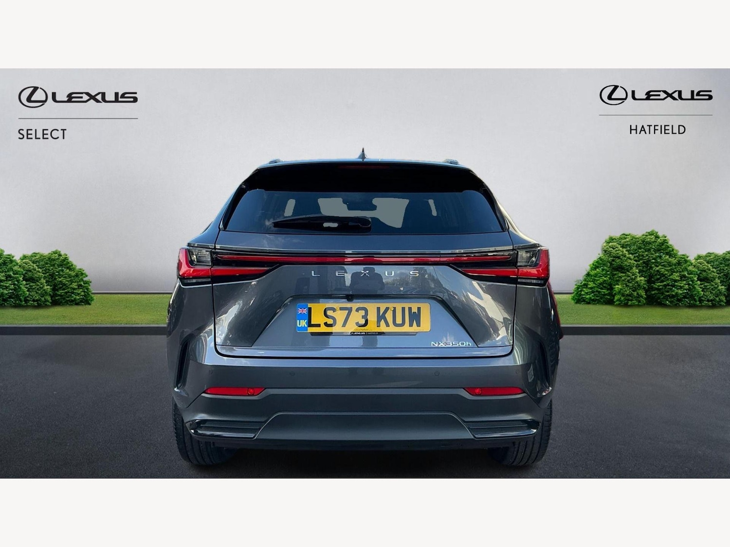 Used Lexus NX for sale - 76440640: Photo 7